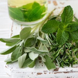 Peppermint, sage and parsley